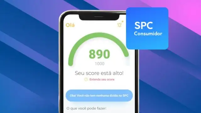 SPC consumidor: aplicativo para consultar CPF grátis no celular